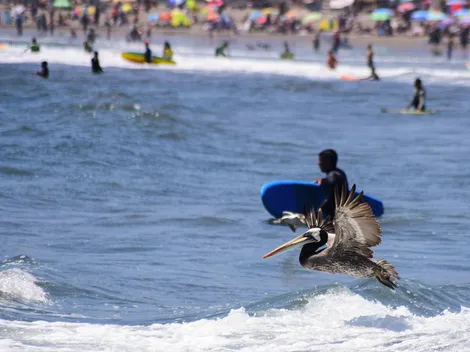 ¿A qué hora comienza el verano en Chile?
