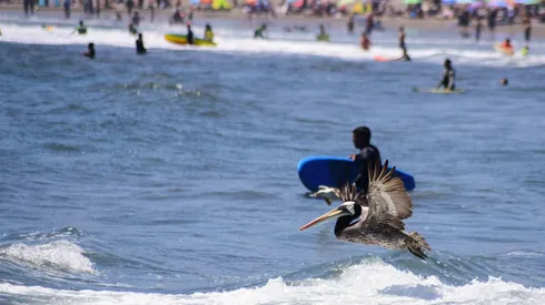 ¿A qué hora comienza el verano?