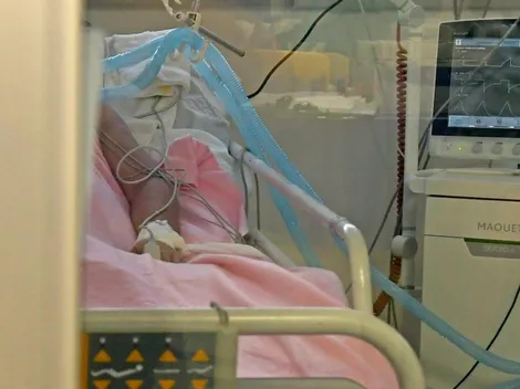 ¿Cuántos casos hay este lunes 6 de diciembre?