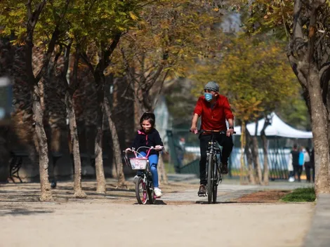 ¿Qué significa estar en Fase 2 Transición y qué actividades puedo realizar?