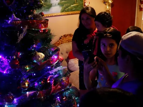 ¿Dónde comprar el árbol de navidad?