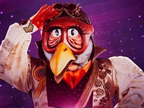 ¿Quién es la Máscara? | ¿Quién era la Cigüeña en el programa de Chilevisión?