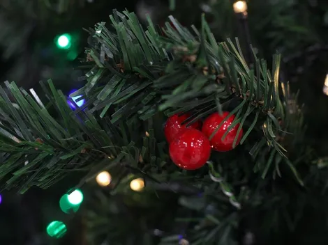 ¿Cuándo se coloca el árbol de navidad?