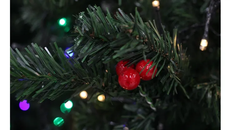 ¿Cuándo se coloca el árbol de navidad?