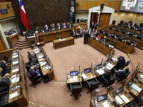 ¿Quiénes son los Senadores elegidos en las elecciones?