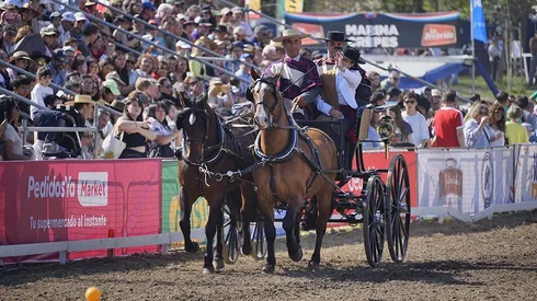 Actividades del evento.