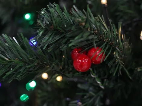 ¿Cómo saber si me corresponde el Aguinaldo de Navidad?