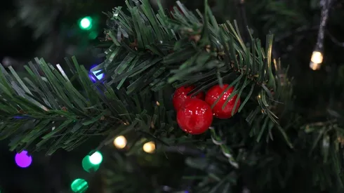 ¿Cómo saber si me corresponde el Aguinaldo de Navidad?