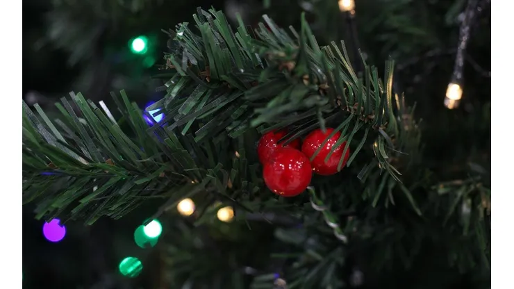 ¿Cómo saber si me corresponde el Aguinaldo de Navidad?