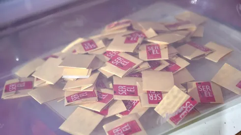 Conoce acá la lista parlamentaria