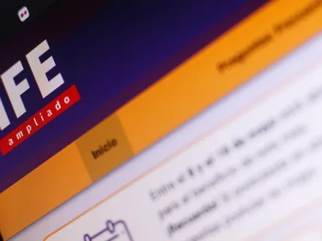 ¿De qué se trata la propuesta de extensión del IFE?