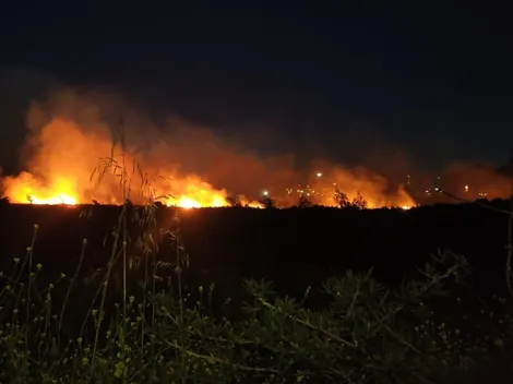 Investigan a hinchas de la UC por incendio en Concepción