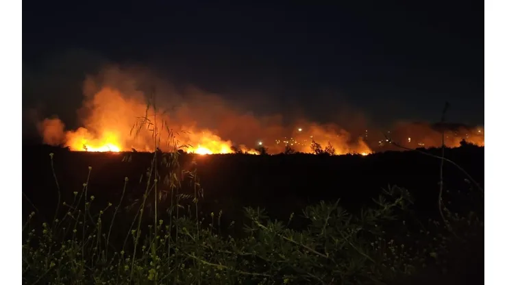 Un incendio de grandes dimensiones se desarrolla a estas horas en el humedal Paicaví de Concepción