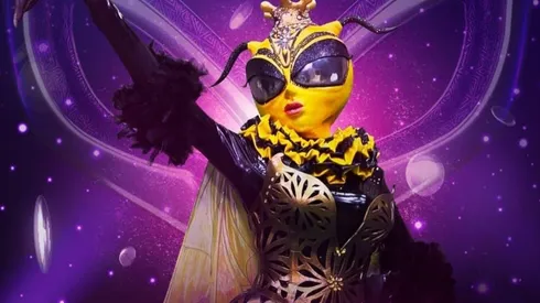 La Avispa quedó fuera de la competencia de ¿Quién es la Máscara?