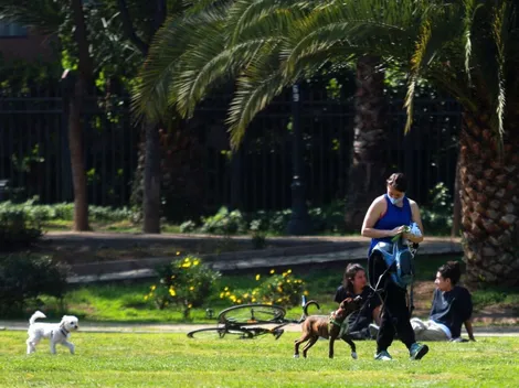 ¿Qué se puede hacer en Fase 3 Preparación? Consulta AQUÍ