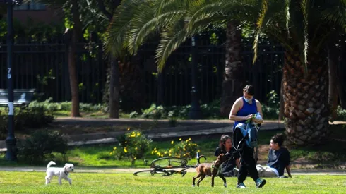 Actividades en Fase 3