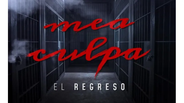 Mea Culpa
