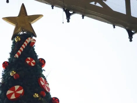 ¿Cuándo se debe armar el Arbol de Navidad? Conoce AQUÍ la fecha
