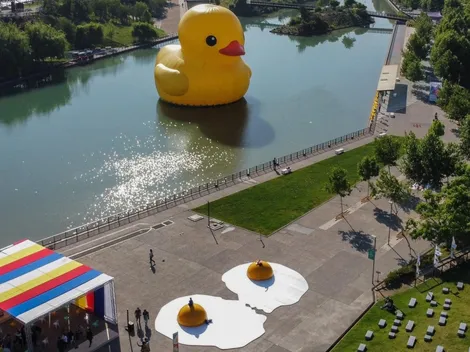 Hecho en Casa | ¿Dónde estará el Pato de Hule y las otras obras?