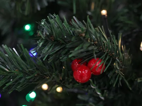 Aguinaldo Navidad | ¿Quiénes lo reciben y cuáles son los montos?