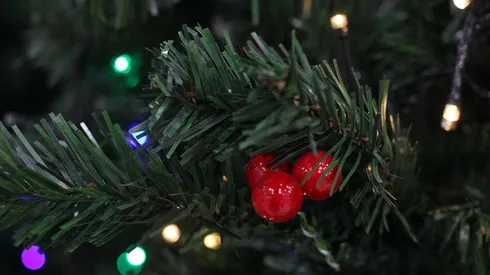 Conoce los detalles del beneficio.