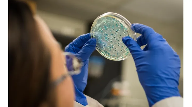 ¿Las bacterias ayudando a la vacuna contra el Covid-19?