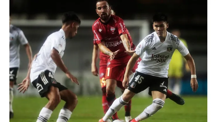 Los juveniles albos se tiene confianza
