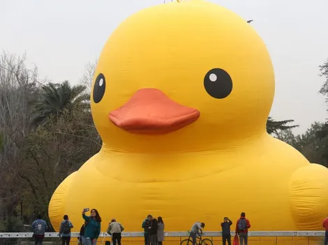 Hecho en Casa | ¿Cuándo y dónde se podrá ver al pato de hule?