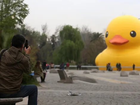 ¿Dónde se realiza el Festival Hecho en Casa?