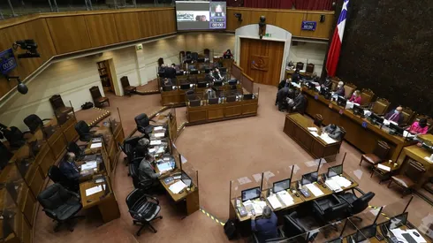 Conoce quiénes son los candidatos al Senado de estas Elecciones 2021