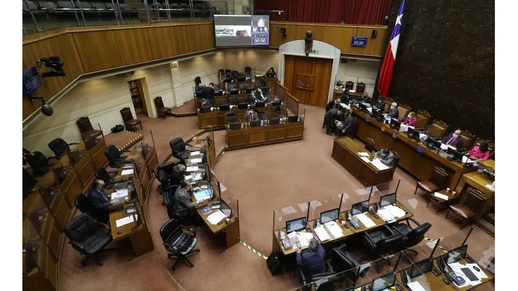 Conoce quiénes son los candidatos al Senado de estas Elecciones 2021