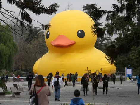 Vuelve el Pato de Hule a Chile: Revisa cuándo y dónde verlo