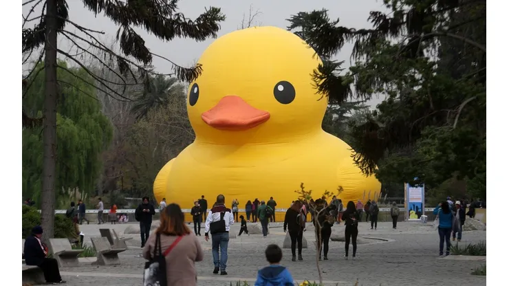 El pato de hule recorrerá Iquique, Santiago, Valdivia y Concepción.