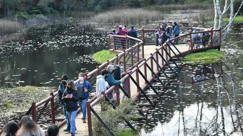 Parque Saval, Valdivia