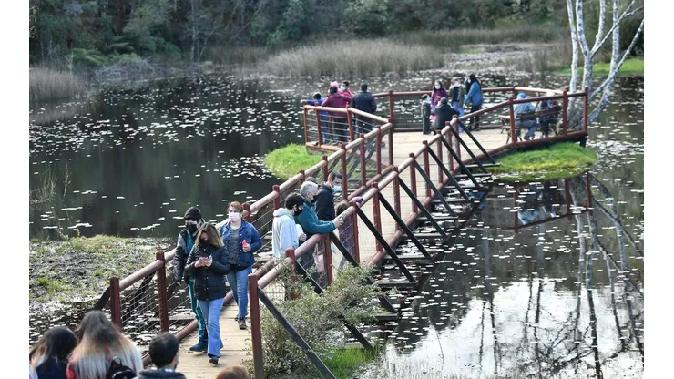 Parque Saval, Valdivia