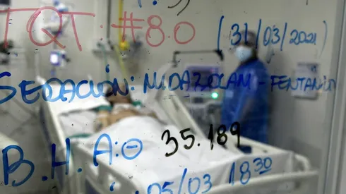 Revisa el detalle de la jornada anunciado por el Minsal.