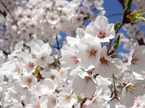 Horóscopo de hoy lunes 11 de octubre