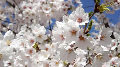 ¿Qué te depara hoy el horóscopo?