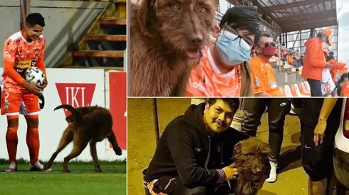 Jorge Espejo recibió con alivio al perro en la cancha, mientras los hinchas de Cobreloa le agradecieron su participación al can