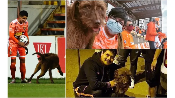 Jorge Espejo recibió con alivio al perro en la cancha, mientras los hinchas de Cobreloa le agradecieron su participación al can