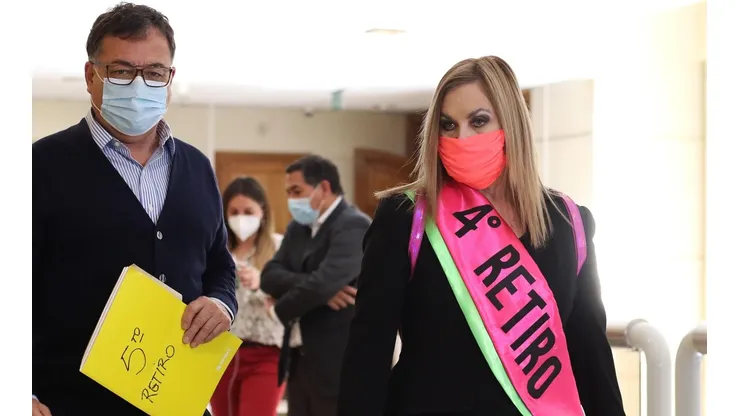 Diputada Pamela Jiles ha sido la principal impulsora del proyecto.