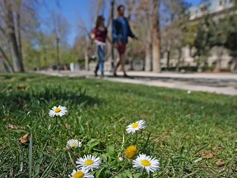 ¿Cómo estará el clima esta semana en Santiago?