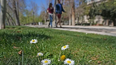 Conoce el detalle del clima esta semana en la capital.