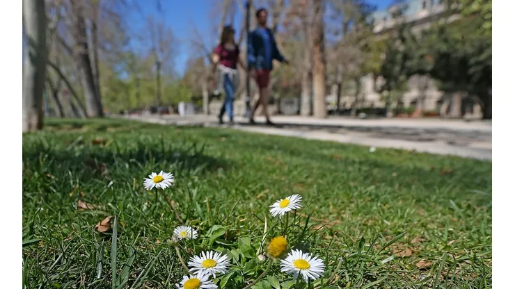Conoce el detalle del clima esta semana en la capital.