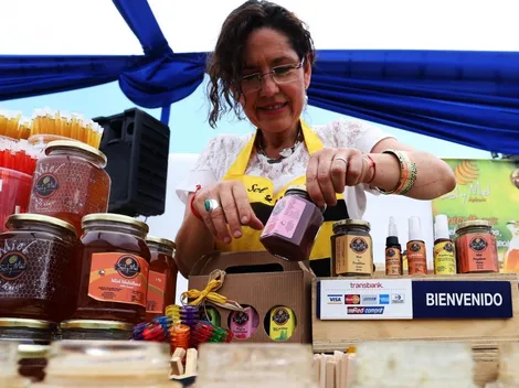 Revisa aquí si eres beneficiaria del Bono Mujer Trabajadora