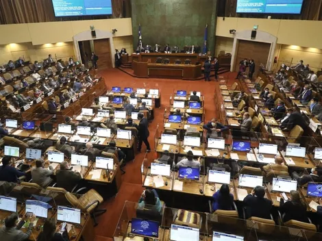 ¿Qué diputado planteó terminar las AFP?