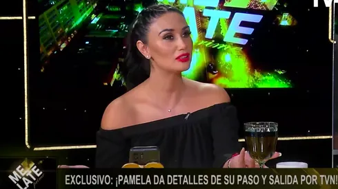 Pamela Díaz no tuvo problemas en comentar la abrupta decisión de los ejecutivos de TVN, al sacarla de pantalla.