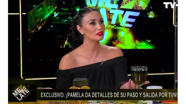 Pamela Díaz no tuvo problemas en comentar la abrupta decisión de los ejecutivos de TVN, al sacarla de pantalla.