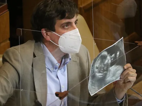 ¿Qué dijo Schalper por despenalización del Aborto?