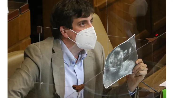 ¿Qué dijo Schalper por despenalización del Aborto?